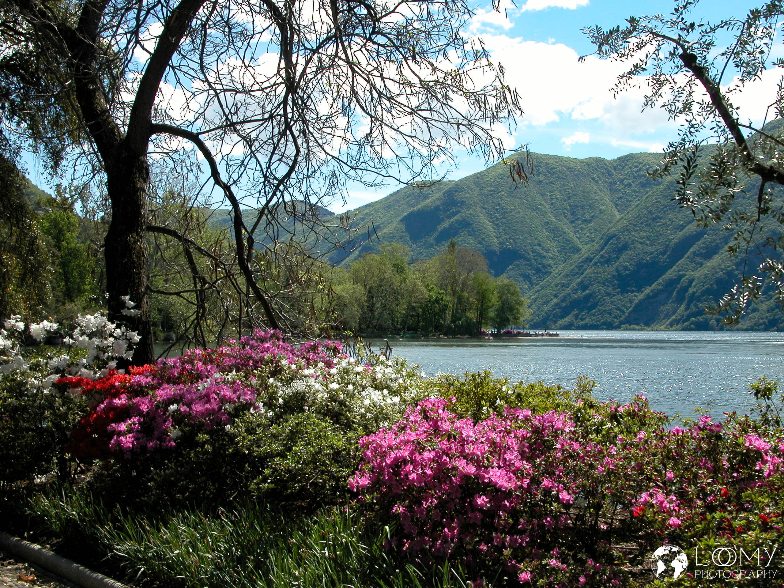 Park Ciani