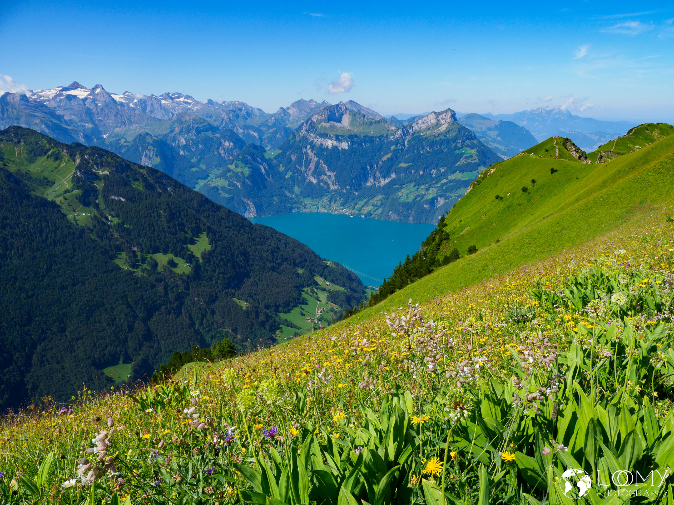 Urnersee