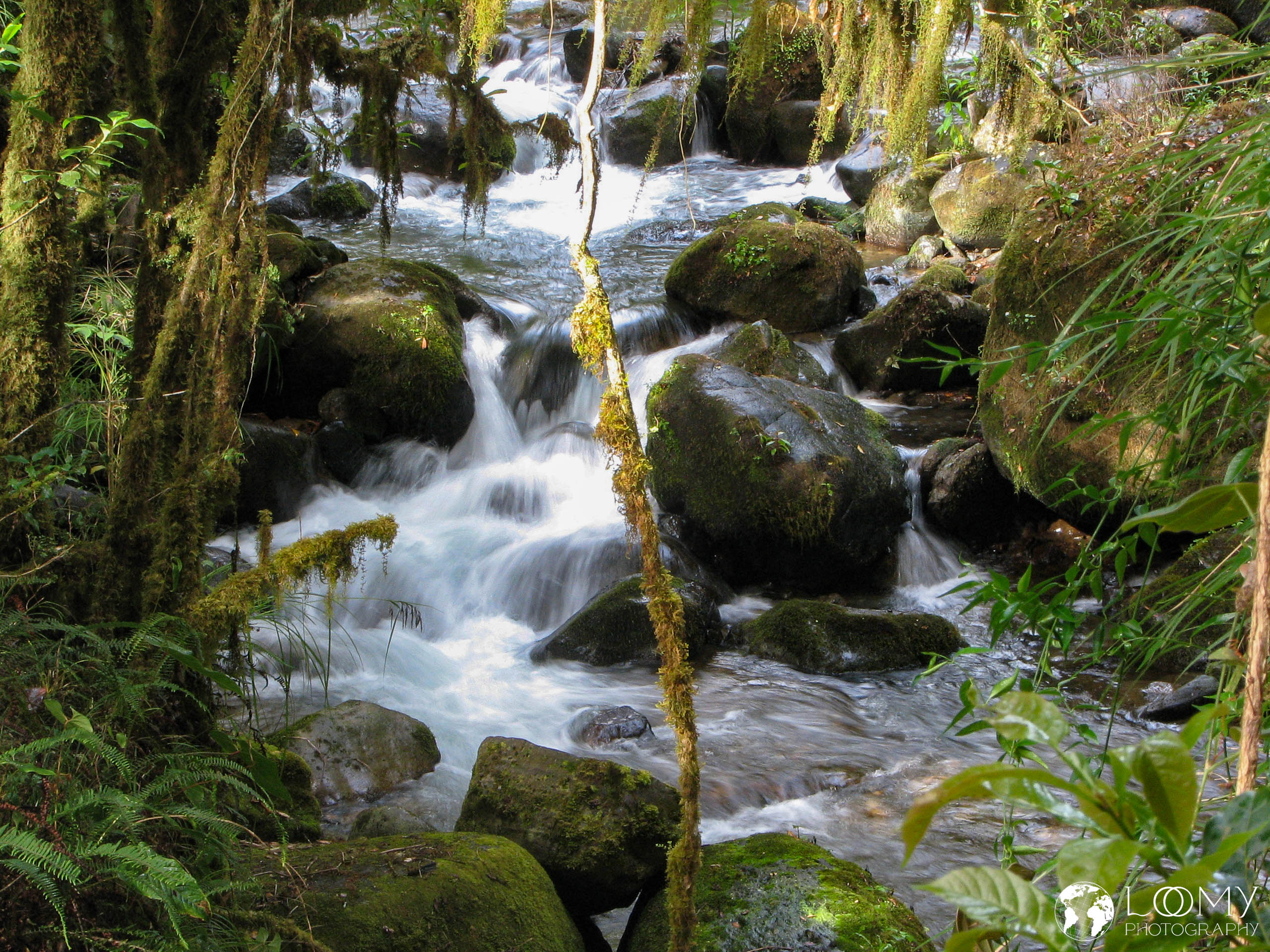 Río Savegre