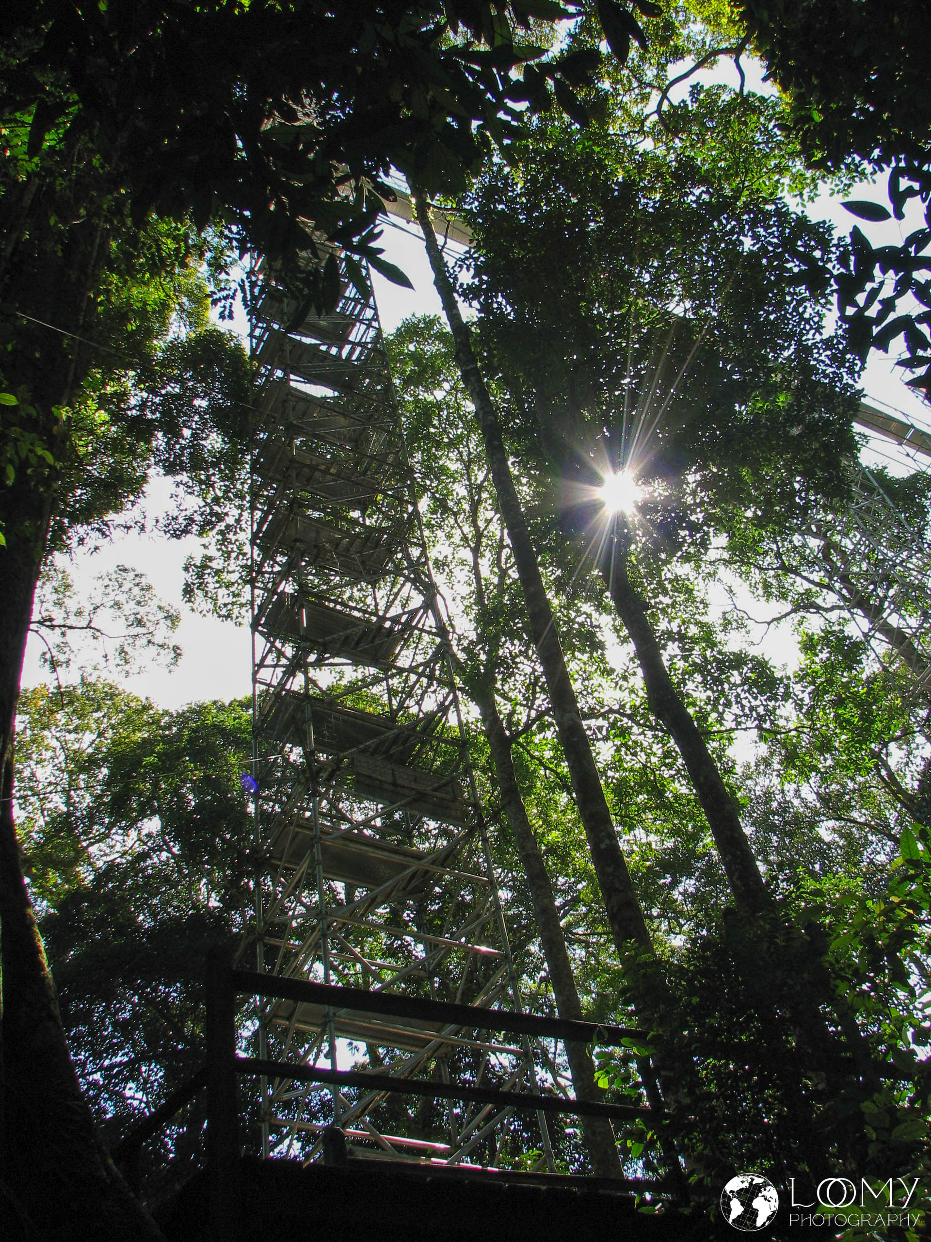 Canopy Walk
