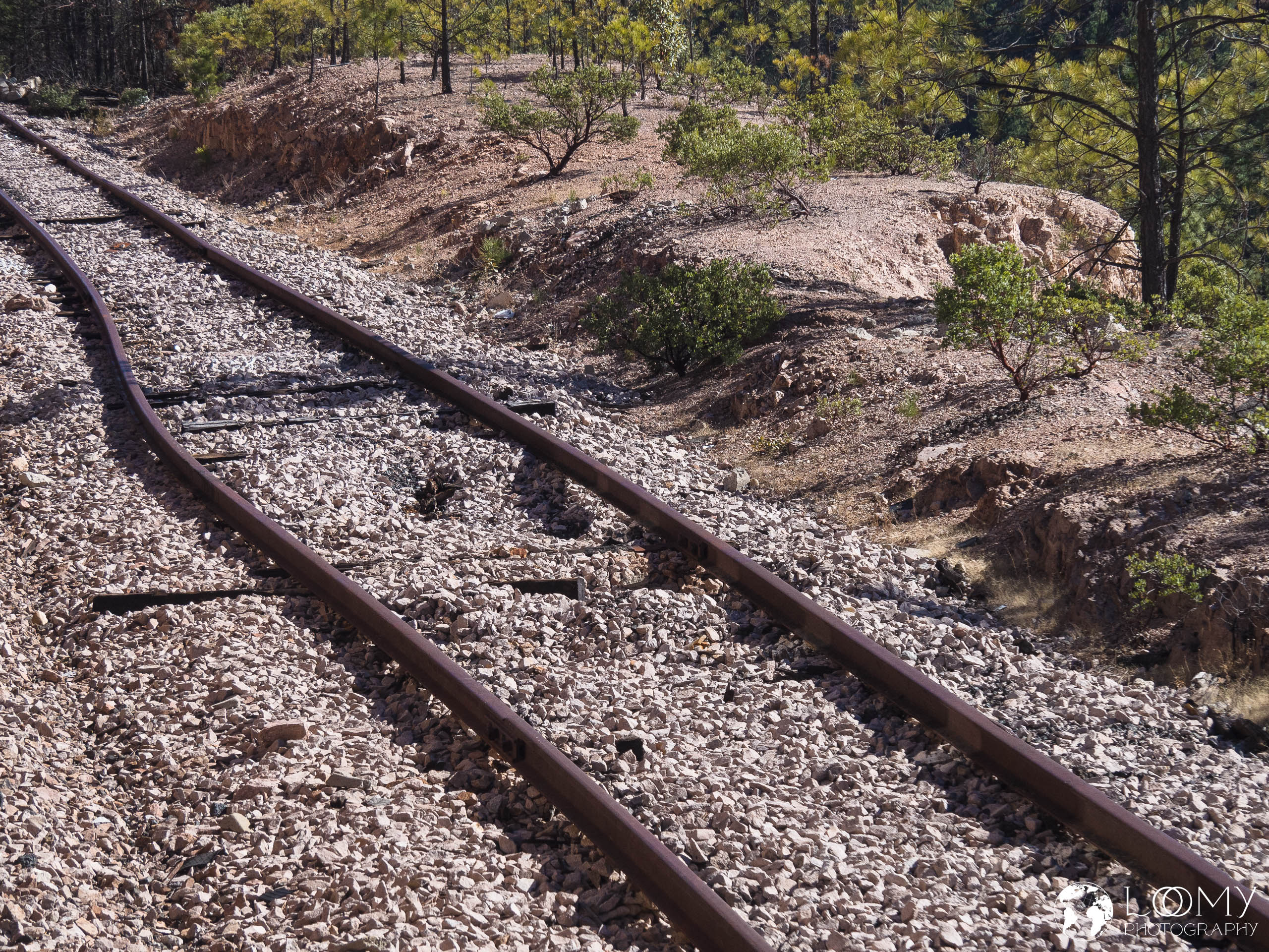 Es muss nicht immer gearde sein...