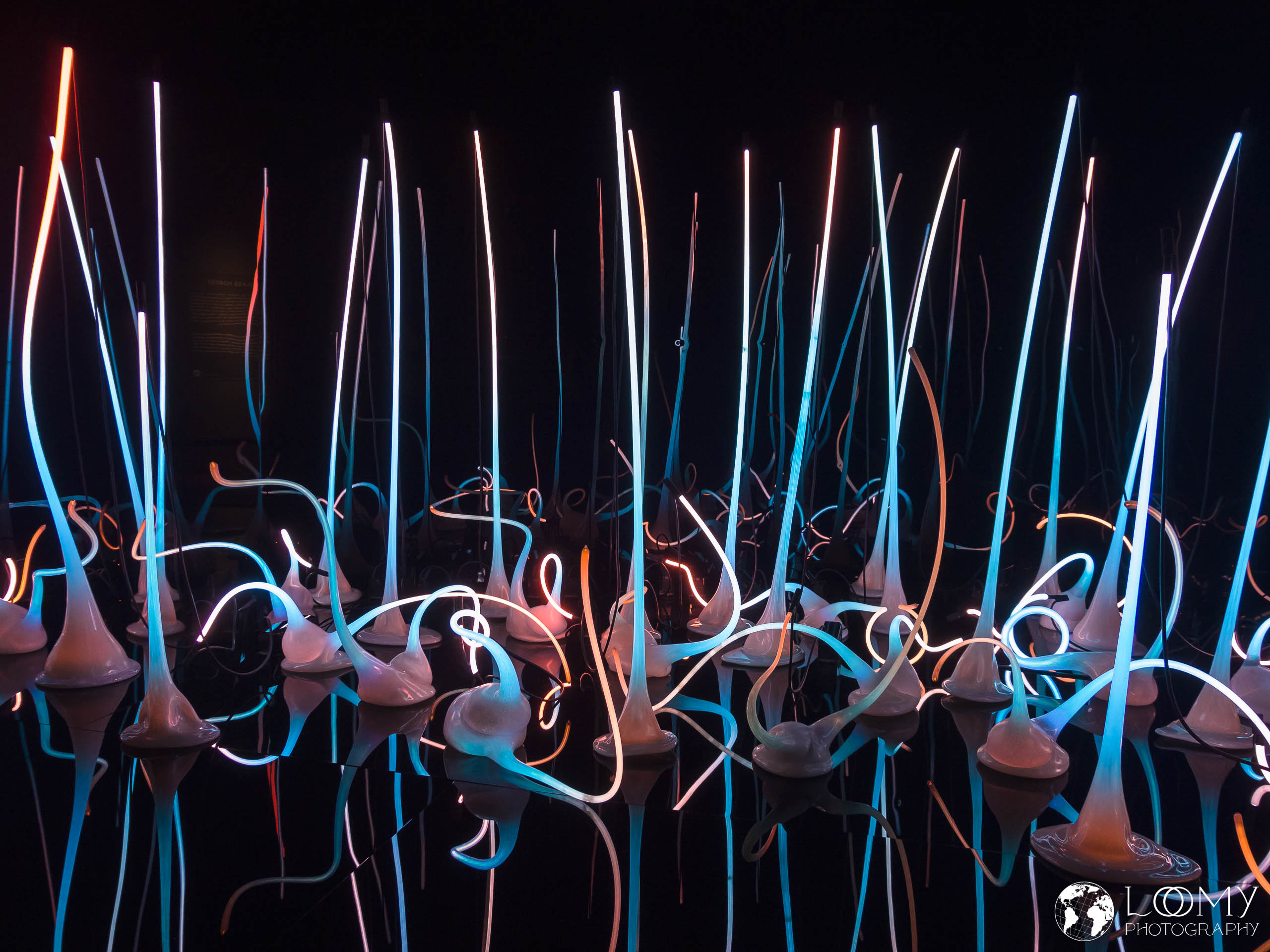 Chihuly Glass Museum