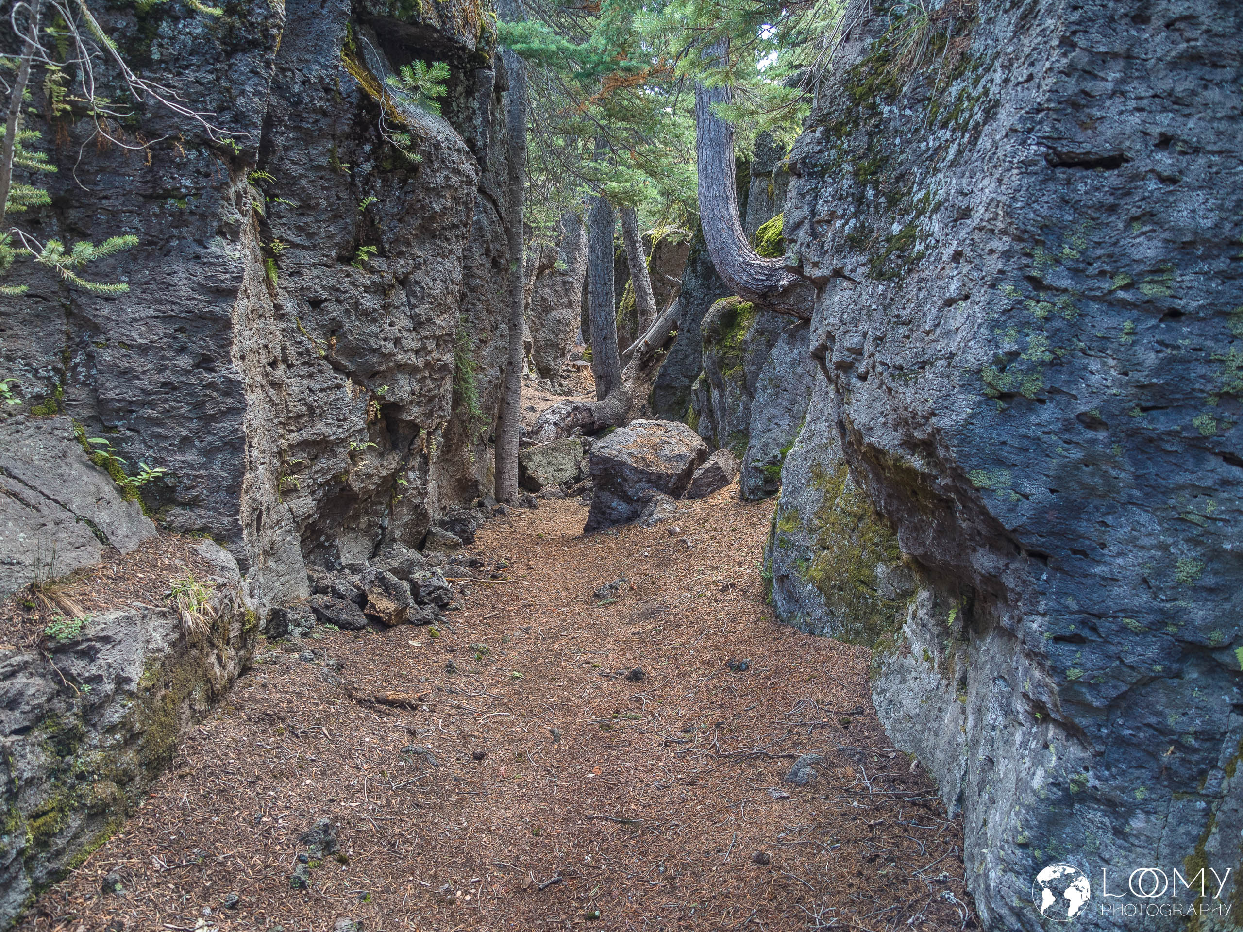 Davis Canyon