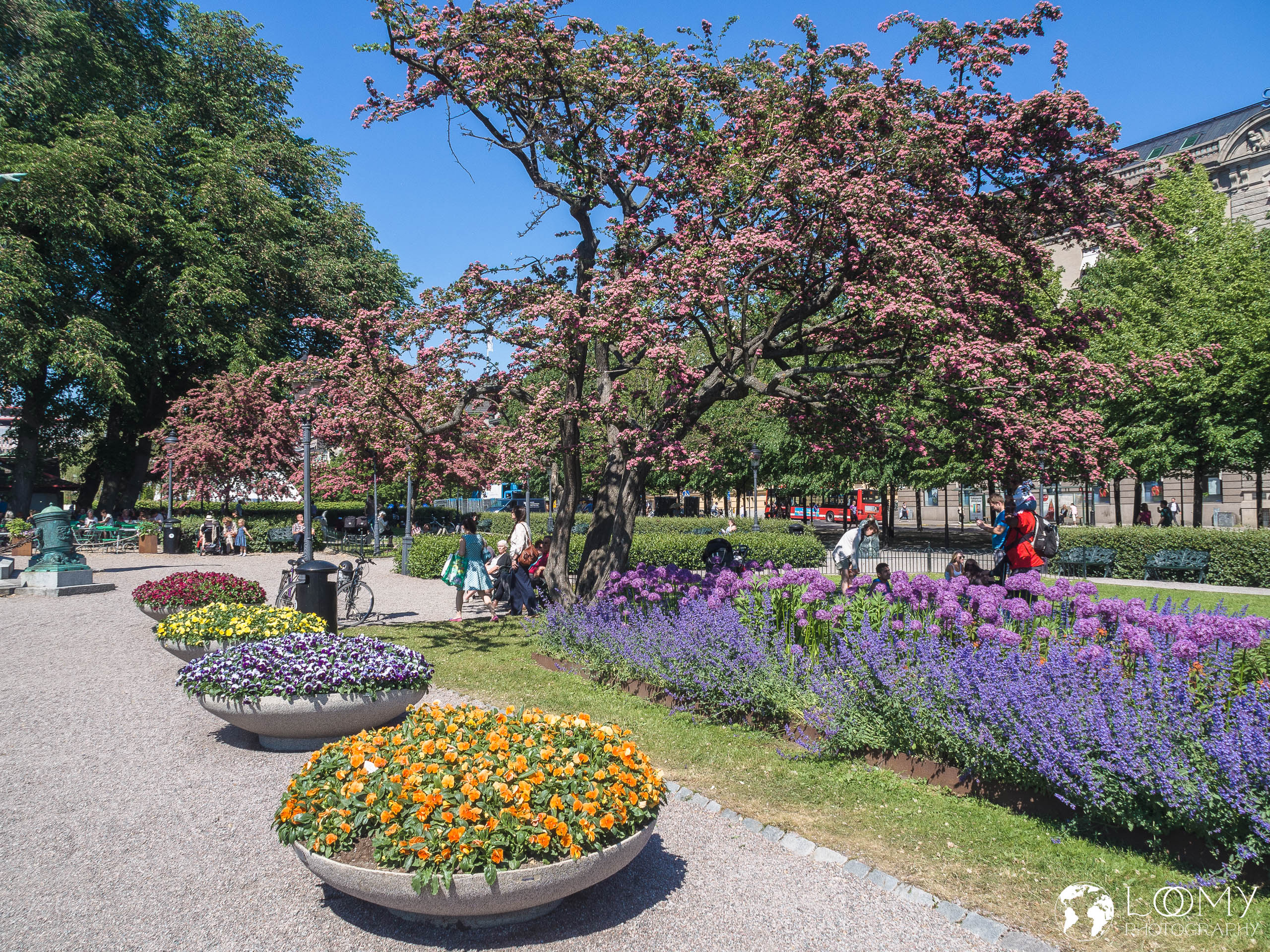 Kungsträdgarden