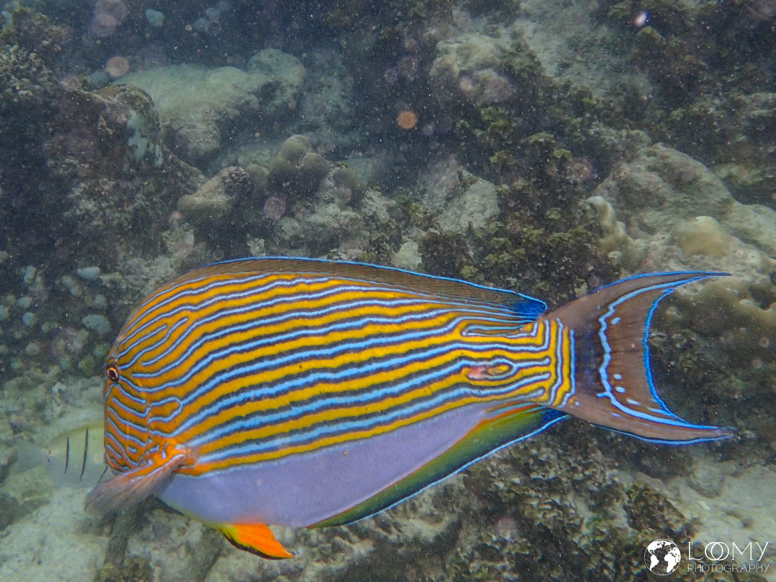 Praslin