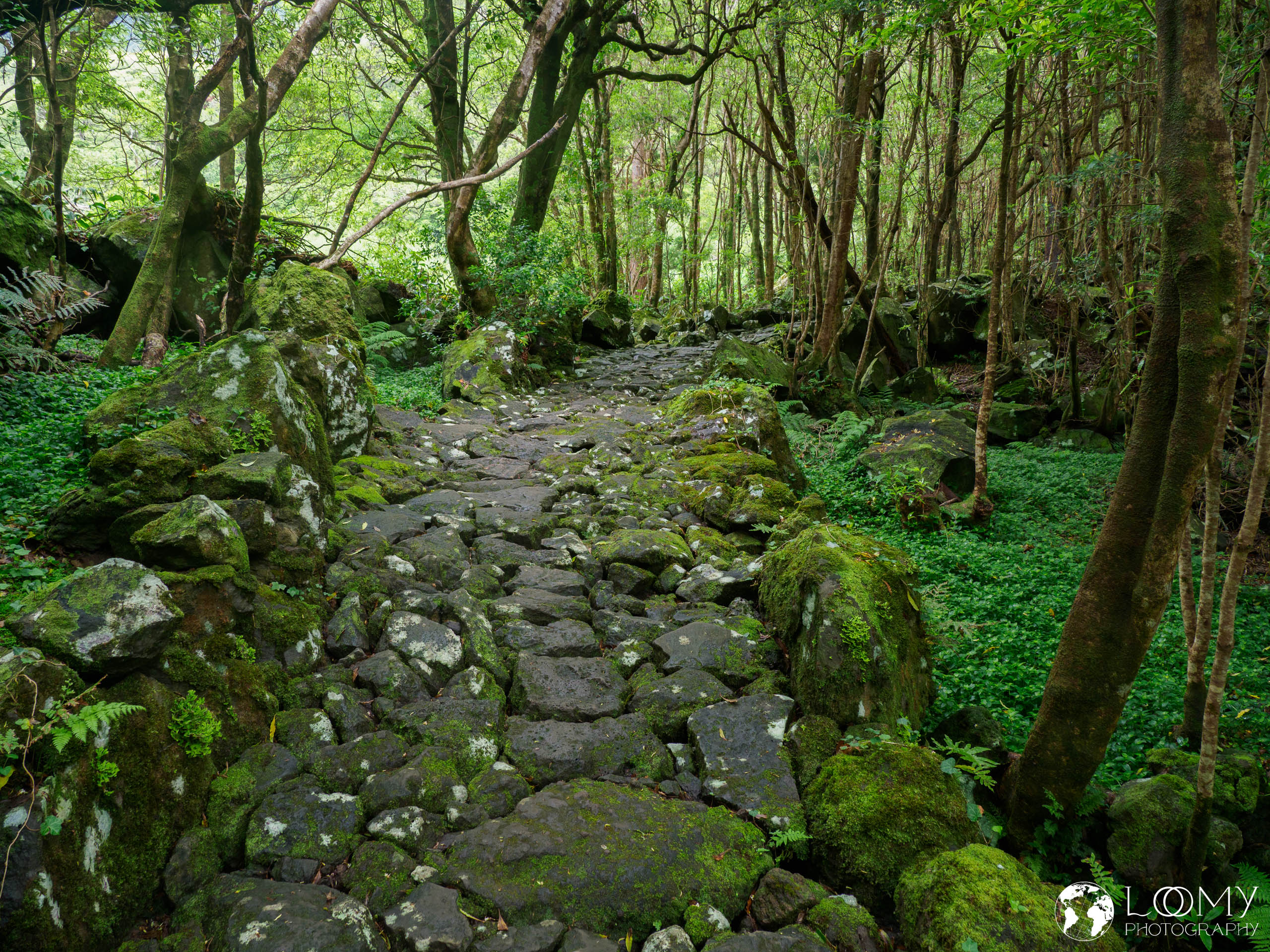 Wanderweg